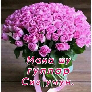 Porno videoda butun oila