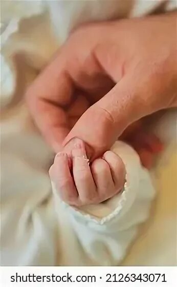 The small hands. The small hands
