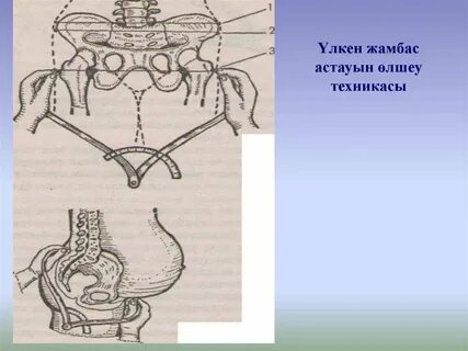 Кең жамбас және киска фотосы