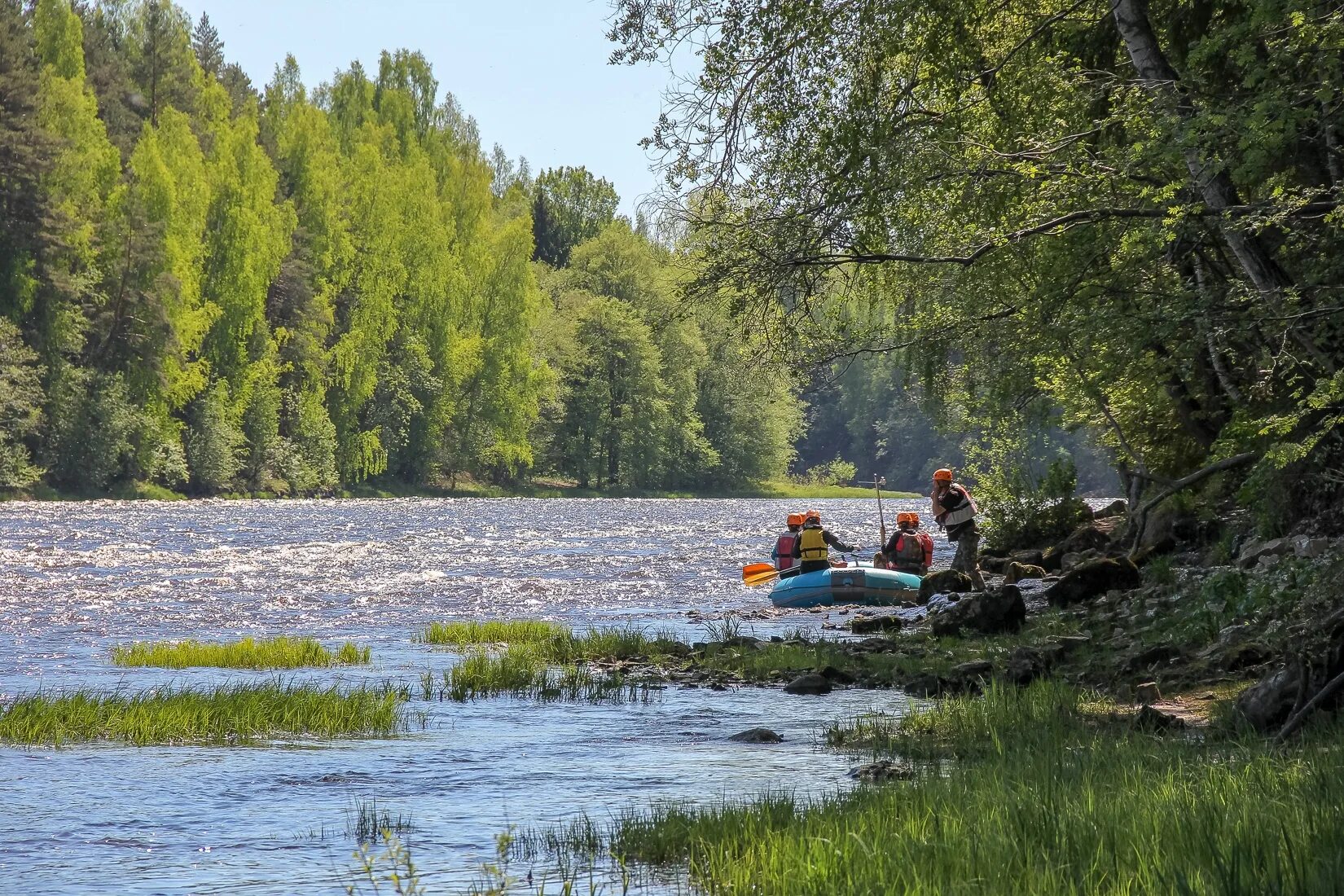 Река мста новгородская область. Река Мста Боровичи. Сплав по реке Мста в Новгородской области. Река Мста сплав.