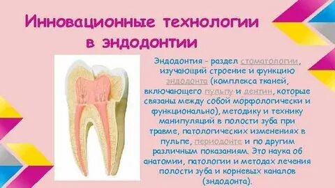Эндодонт