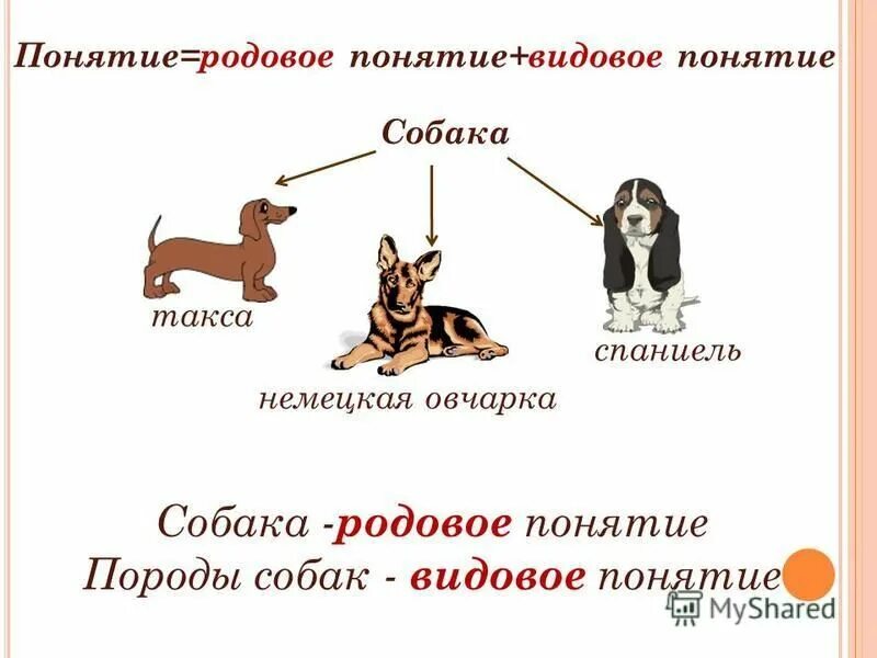 Переход от родового понятия к видовому. Родовое понятие. Обозначение родовых и видовых понятий. Понятие родовое понятие видовые отличия. Схема деления понятия собака.
