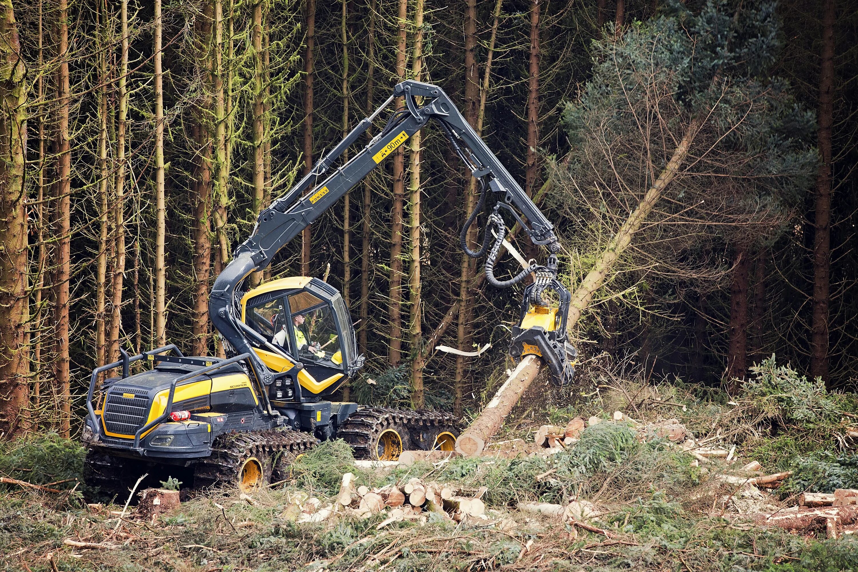 Топор лесоруба. Шеврон лесоруба. Раскряжевка хлыстов бензомоторными пилами. Раскряжевка хлыстов на сортименты на лесосеке. Спиливание деревьев.