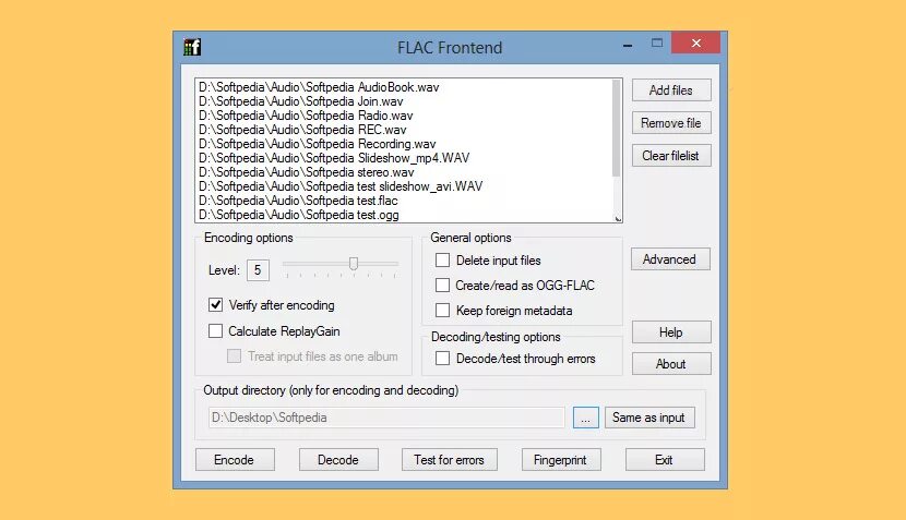 Flac формат 1000. Аудио Формат FLAC расширение. FLAC кодер. Битрейт FLAC И mp3.