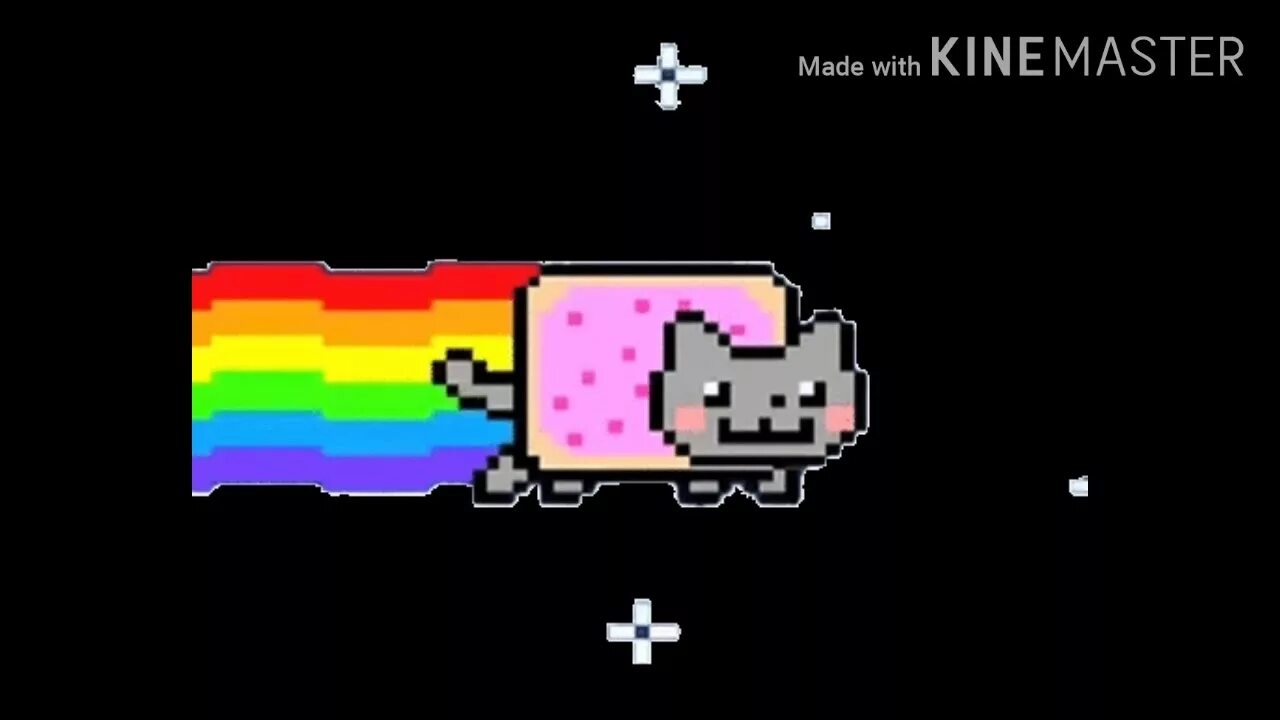Nyan крипта