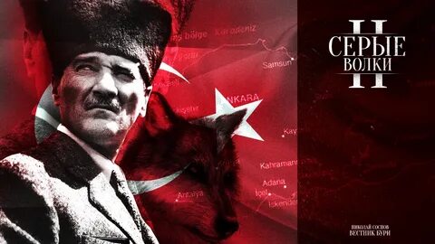 Турецкий серый волк