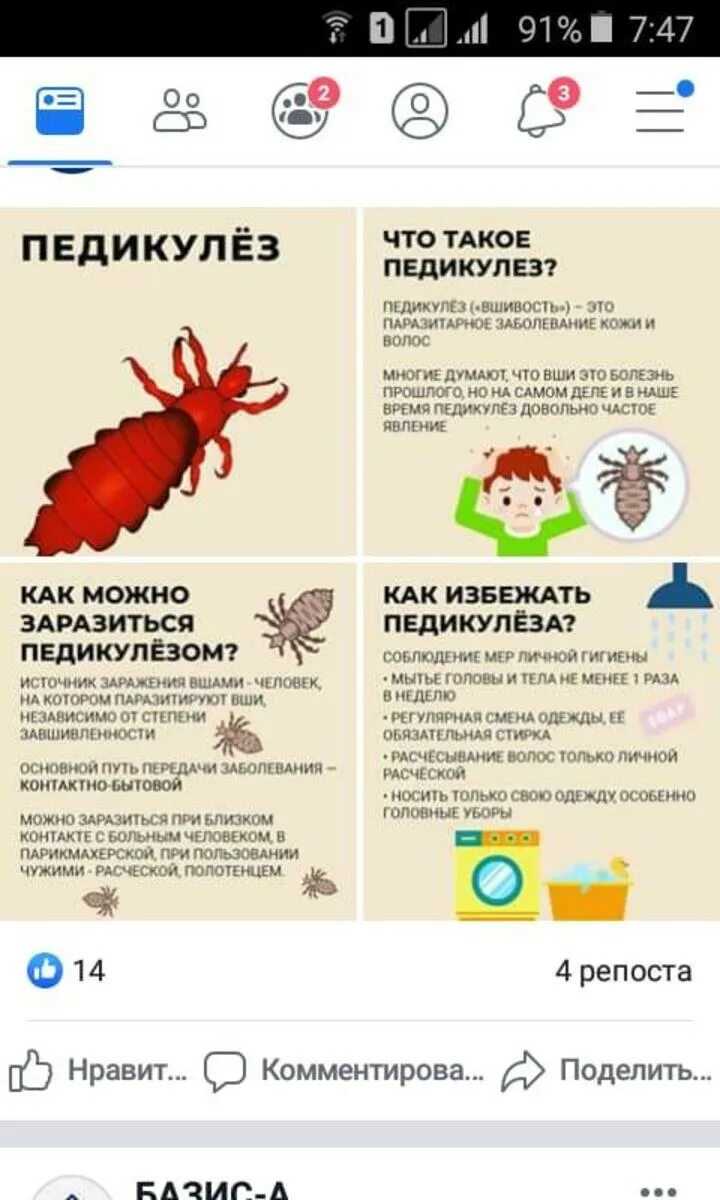 меры профилактики педикулеза. педикулёз у детей профилактика в детсаду. вши меры. профилактика педикулеза и чесотки. блохи!.