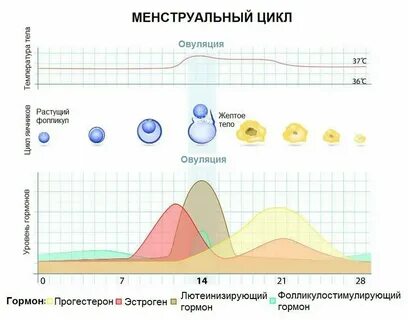 Нерегулярные периоды