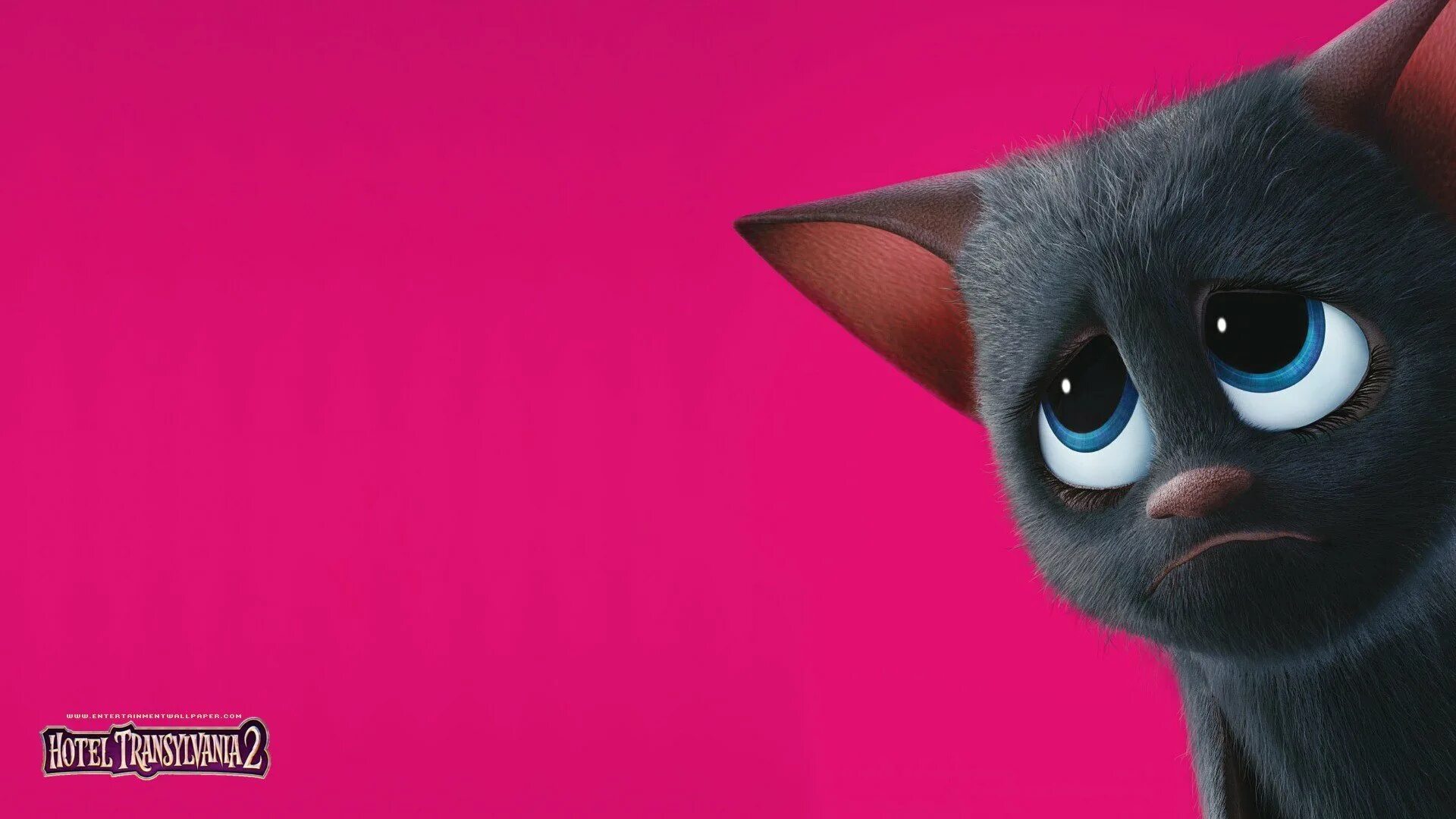 Монстры на каникулах дракула летучая мышь. Мейвис дракула летучая мышь. Монстры на каникулах летучая мышь. Мышь из монстры на каникулах. Монстры на каникулах дракула летучая мышь.