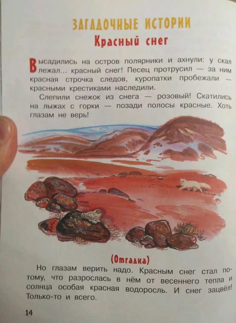 Рассказы про волосатые. Сладков загадочные истории. Н.Сладков загадочные истории. Н Сладков красный снег.