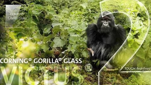 Gorilla glass victus
