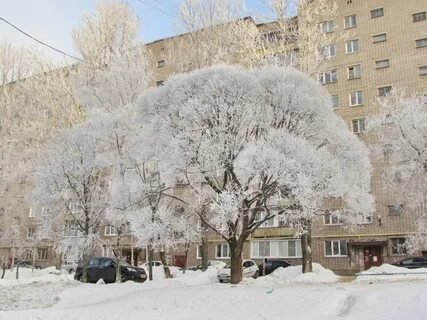 Череповец зимой