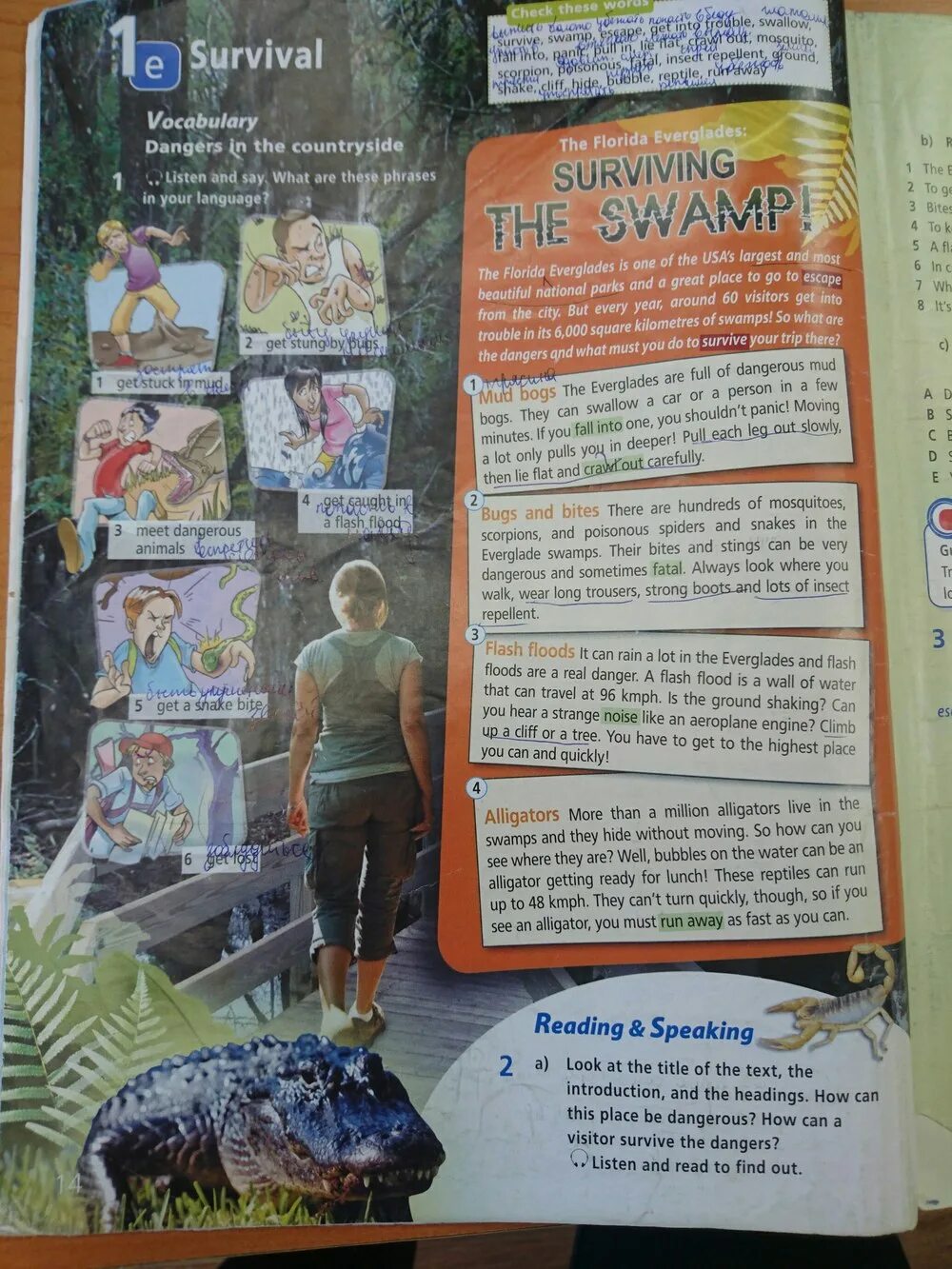 Пересказ на английском Surviving the Swamp. Starlight 6 students гдз. Гдз по английскому 6 класс Сити старс учебник Баранова. Учебник Старлайт 6 класс английский Баранова текст про Yellowstone National Park. Английский 6 класс сити старс учебник