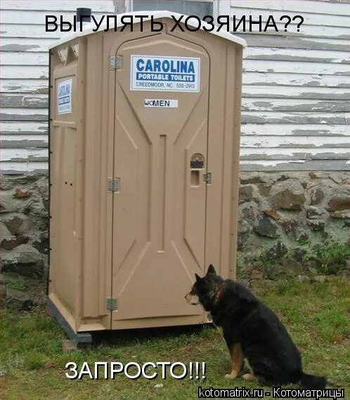 Хозяин своей судьбы картинка. Полный собственник это. Хозяева или хозяева. Хозяева или хозяева. Паразиты временные и постоянные примеры.