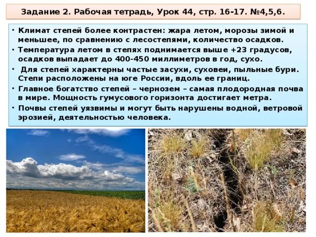 Кол во осадков в степи. Климат степи. Климат степи в России. Лесостепи и степи климат. Назовите безлесные природные зоны