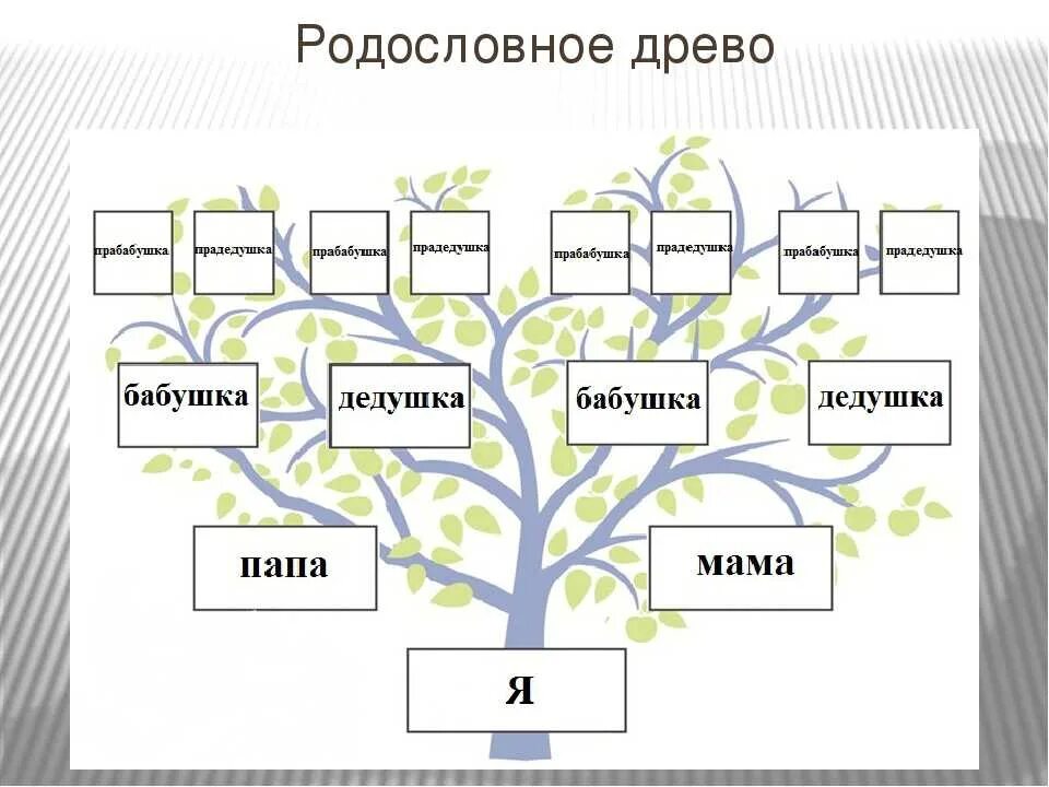 Как сделать древо 2 класс. Как составить родословную пример. Проект по окружающему миру 2 класс Древо семьи. Схема родословной семьи 2 детей. Как правильно составить родословную 2 класс.