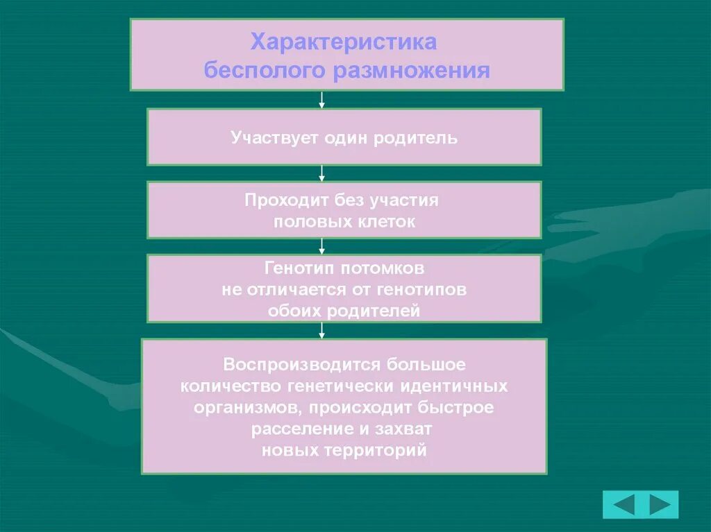 В половом размножении принимают участие. Потомки при половом размножении генетически. Количество потомков в бесполом размножении. Потомки идентичны родителям это половое размножение. Сохранение генотипа в половом размножении.