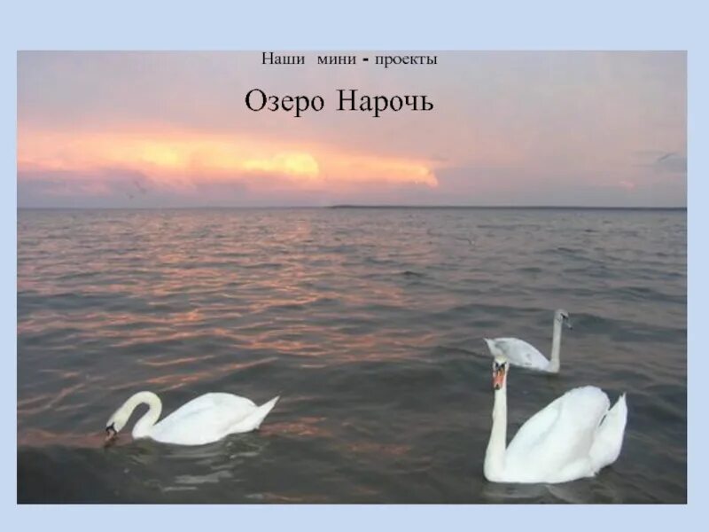 Нарочанский берег карта. Озера белоруссии презентация. Озеро нарочь беларусь. Озеро нарочь презентация. Легенды о озерах.