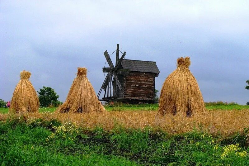 Сельская. Скирда сноп. Сельская местность снопа Ненецкий автономный округ. Снопы сена на поле. Стог сена в деревне.