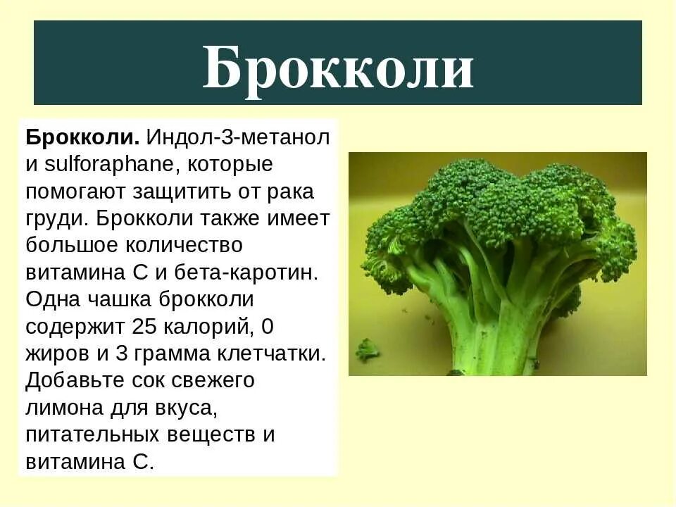 Какой витамин содержится в капусте