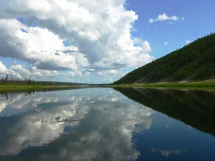 Водные объекты в лесном фонде