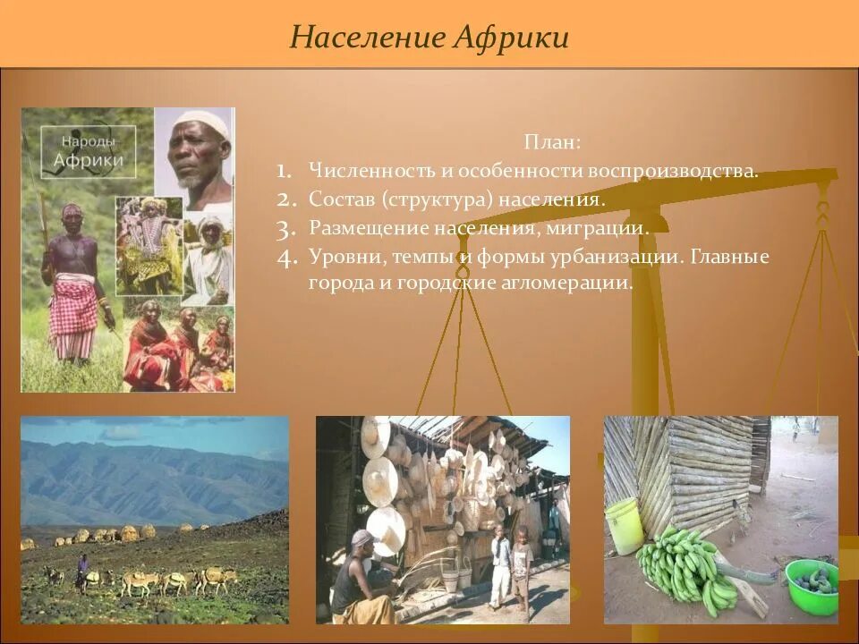 Как размещено население африки чем занято. Численность и размещение населения африки. размещение населения африки. основные черты населения африки. воспроизводство населения африки.