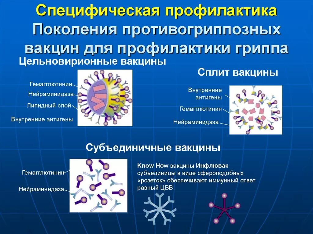 Неспецифическая профилактика гриппа. Вирус гриппа специфическая профилактика. Препараты для специфической профилактики вирусных инфекций. Специфическая профилактика гриппа и ОРВИ. Вакцины для специфической профилактики гриппа:.