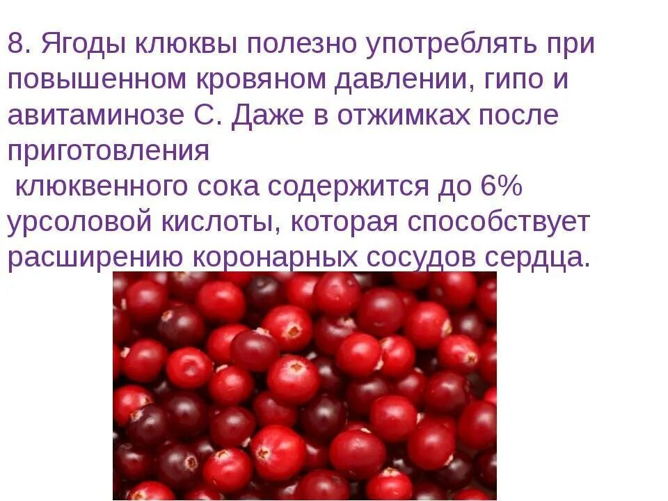 Поднимает или понижает давление. Клюква понижает или повышает давление. Ягода от давления клюква. Ягоды от давления повышенного. Ягоды повышающие артериальное давление.