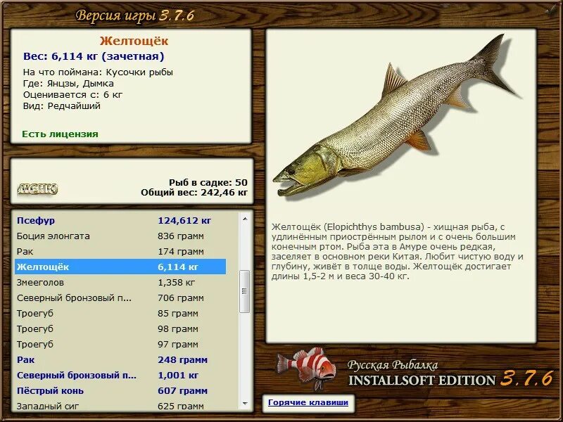 желтощек русская рыбалка 4. реальная рыбалка ленок энциклопедия. желтощек реальная рыбалка. русская рыбалка installsoft щука. русская рыбалка кунджа.