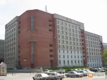 Государственные службы новосибирска
