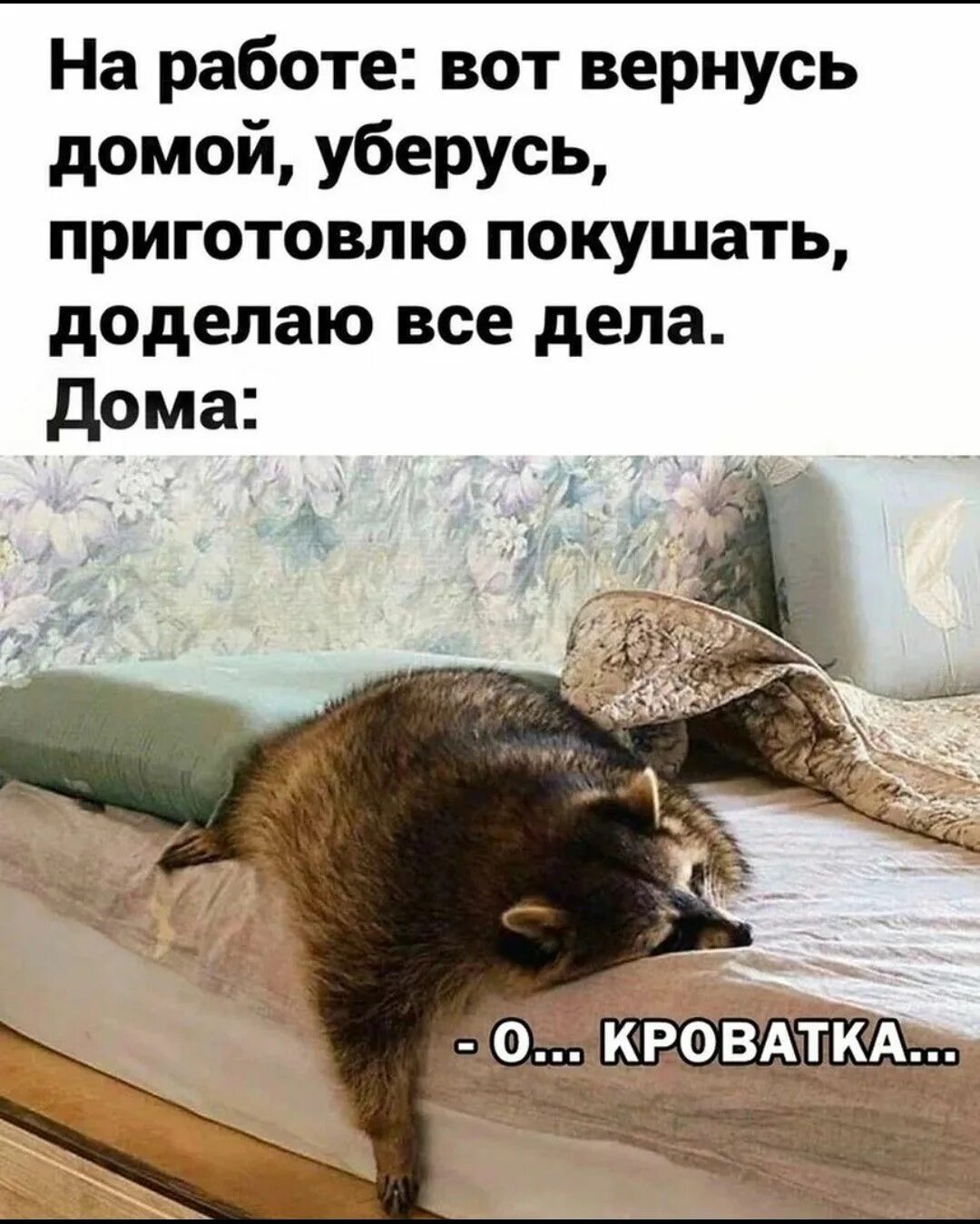Страничка заговорена картинки прикольные. Думала приду домой уберусь. Думала приду домой. Приду домой уберусь. Мне царь бургер и острый цирюльник.