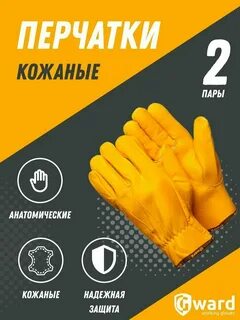 Перчатки анатомические