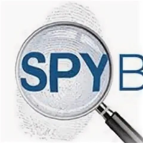 Спайбот. Spybot - search & destroy. Spybot search and destroy 2.9.82.0. Spybot search & destroy иконка. Spybot Toy.