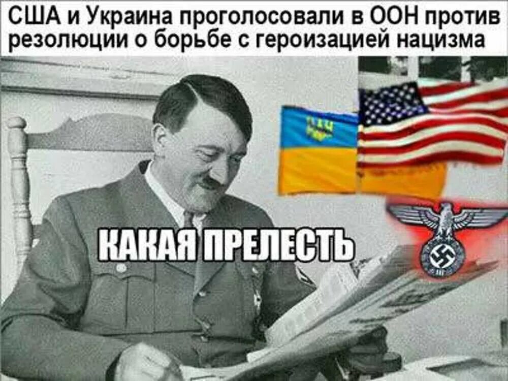 США И Украина за героизацию фашизма. Борьба с героизацией нацизма. Украина и США против резолюции по борьбе с героизацией нацизма. США И Украина проголосовали за героизацию нацизма.