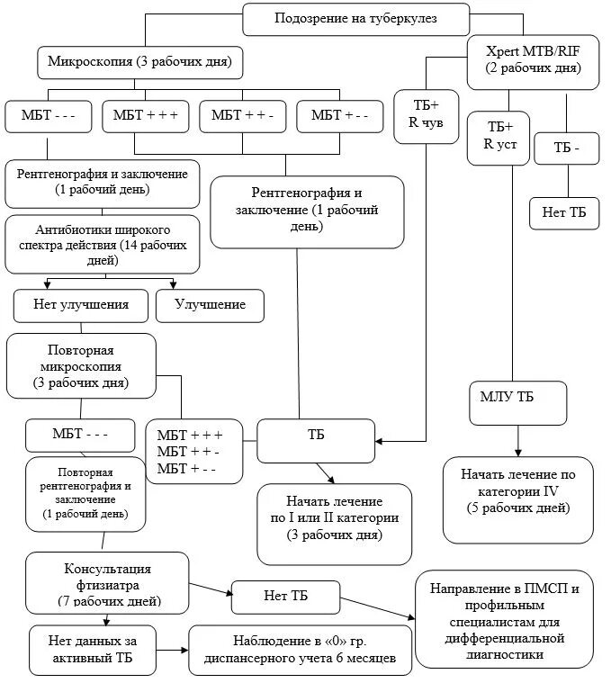 Приказ туберкулеза рк. Алгоритм диагностики туберкулеза. Схема диагностики туберкулеза. Приказы по туберкулезу. Диагностический алгоритм туберкулеза.