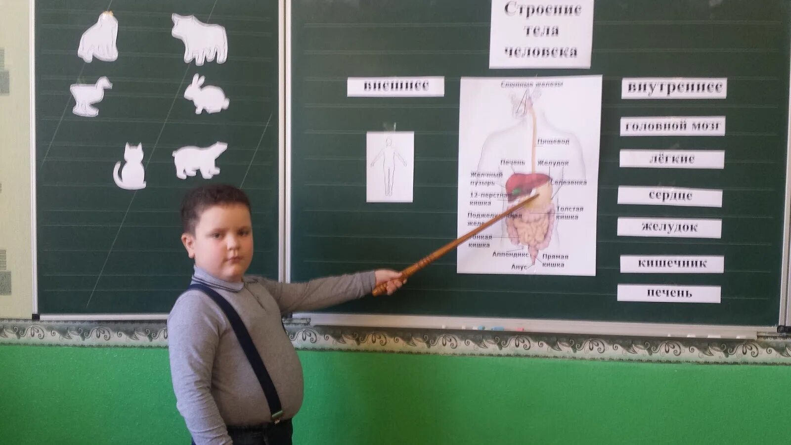 Урок исследование 2 класс. Урок-исследование в начальной школе. самый нужный школьный урок опрос.