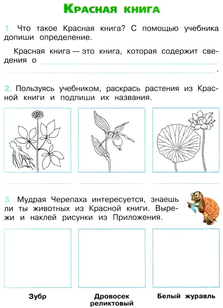 Окружающий мир рабочая тетрадь 2 класс занкова. Плешаков окружающий мир рабочая тетрадь 2. Плешаков окружающий мир 2 класс рабочая. Окружающий мир Плешаков 2 кл рабочая тетрадь. Окружающий мир 2 класс рабочая тетрадь 2 часть Плешаков стр 60.