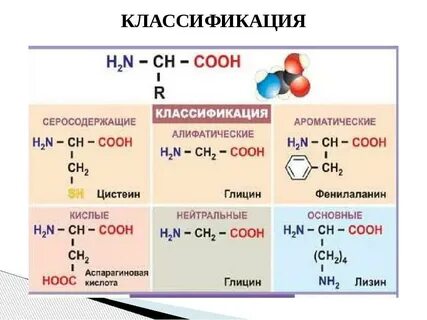 Серосодержащие аминокислоты