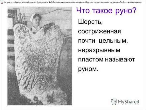 Оберег для овна мужчины. Руно шерсть. Руна силы. Руно. Руно это что такое простыми словами.