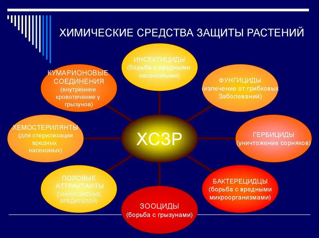 Методы охраны растений. Химические средства защиты растений. Способы химической защиты растений. Классификация химических средств защиты растений. Химические средства защиты растений классификация пестицидов.