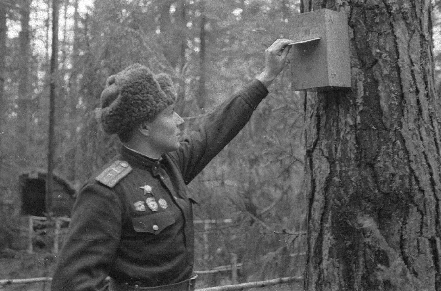 Почтальон на фронте. Фронтовые почтальоны. Солдаты великой отечественной войны. Фронтовой почтальон великая отечественная война. Фронтовые почтальоны.