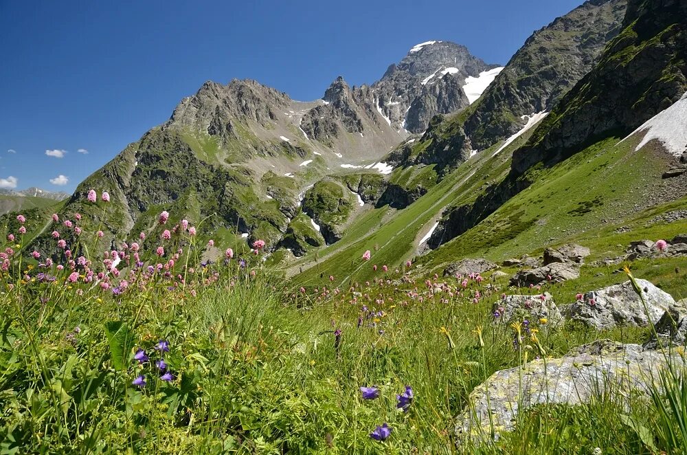 Рахат архыз. Сосновый бор архыз. Rivendell архыз. Сруб хаус архыз. Flora boutique hotel spa архыз.