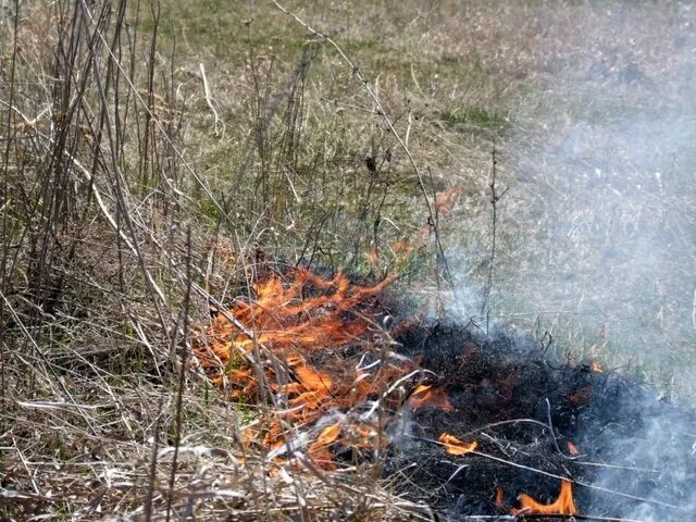 Где запрещено разводить костры на сухой траве. Сухая трава для разведения костра. Фото бесконтрольные разведения костров. Сухая трава для костра.