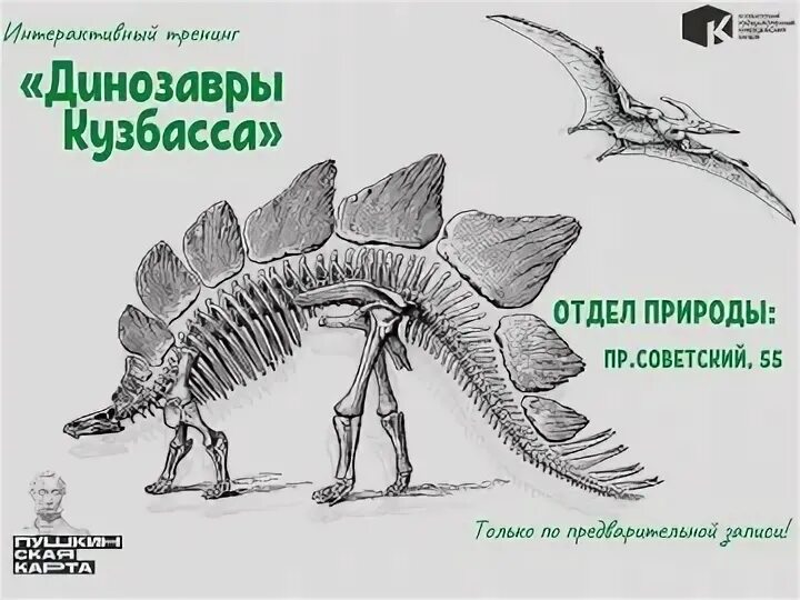 Кузбасс динозавр. Тренинг динозавров. Динозавры Кузбасса названия. Динозавры Кузбасса рисунки. Птицеподобные динозавры Кузбасса.