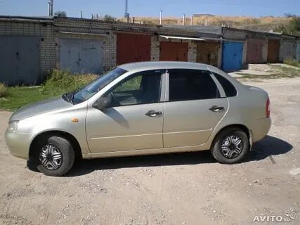 502 дыня