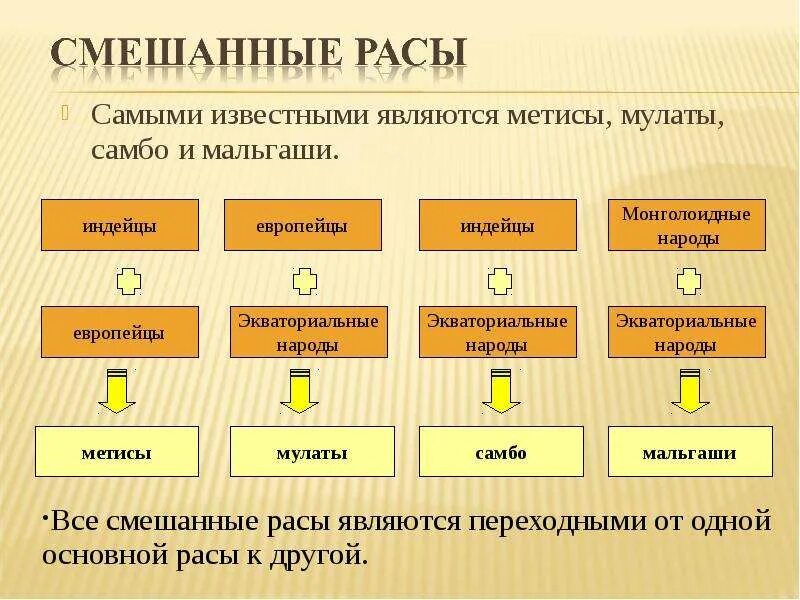 Смешанные расы людей