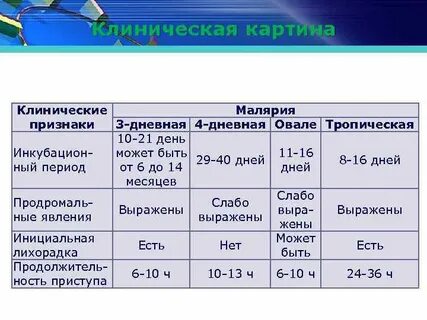 Трех суточный