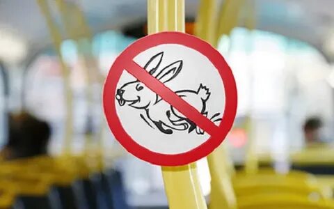 Безбилетный проезд тверь