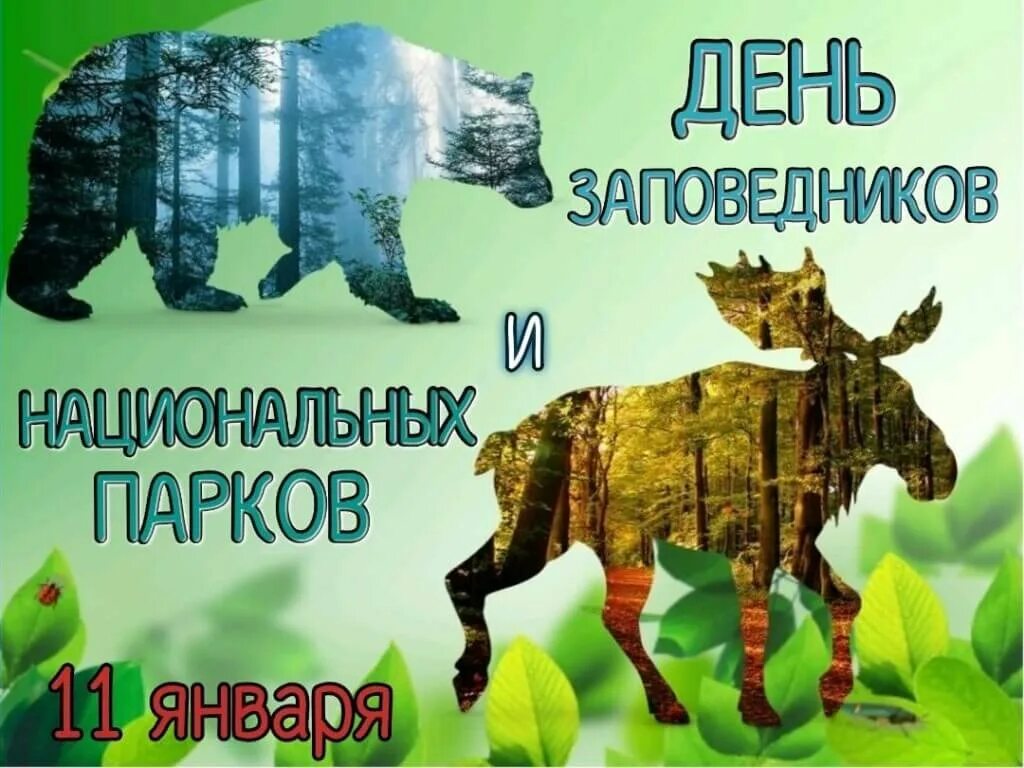 Рисунок символ всероссийский день заповедников и национальных. День заповедников и национальных парков. российский день заповедников и национальных парков. 11 января день заповедников и национальных парков. всероссийский заповедников день заповедников.