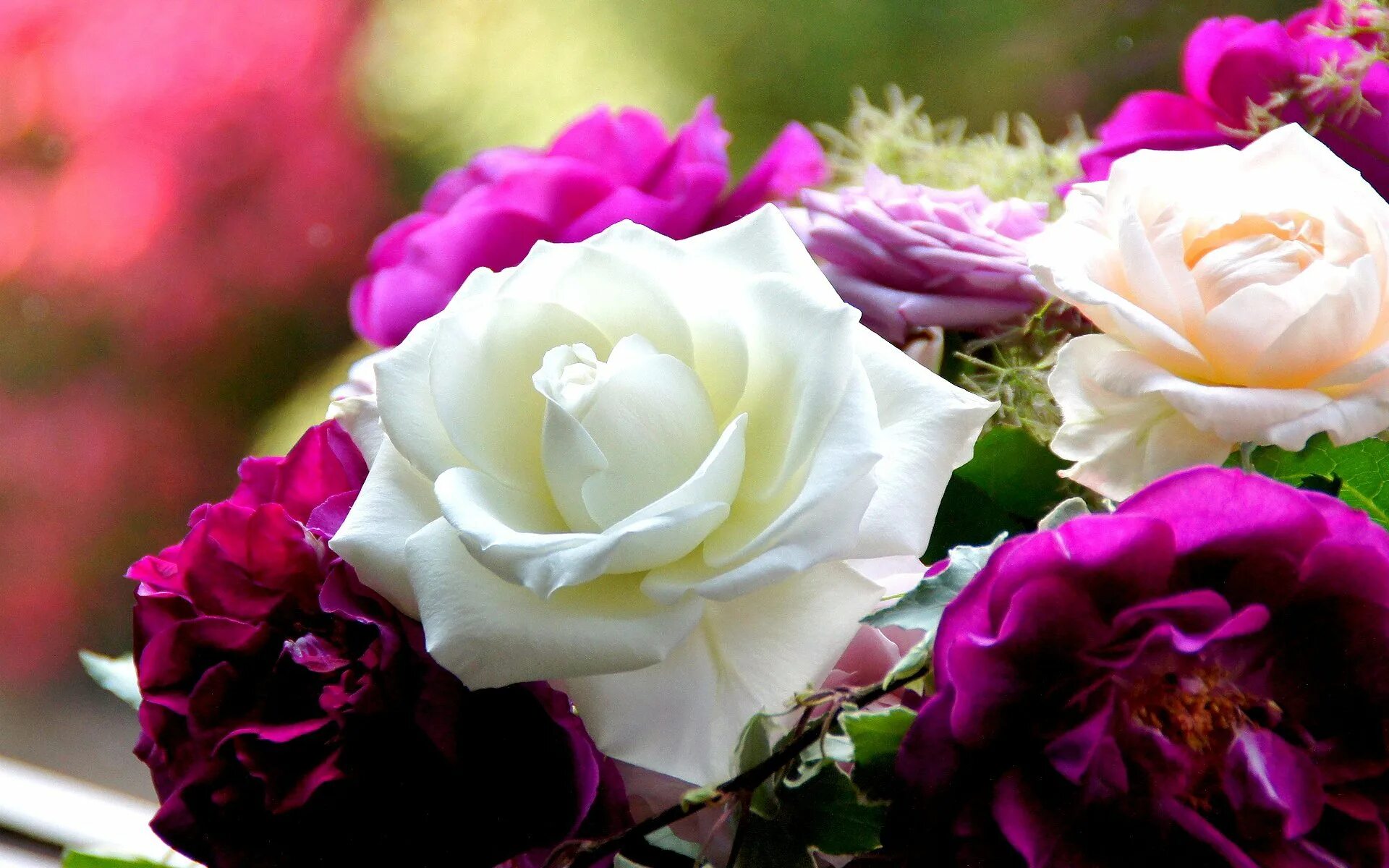 Очень красивые цветы. Шикарные цветы. Роскошные розы. Пышные цветы.